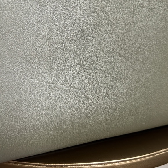 Soft Tabby Snake-Trim Leather Shoulder Bag - Picture 11 of 16